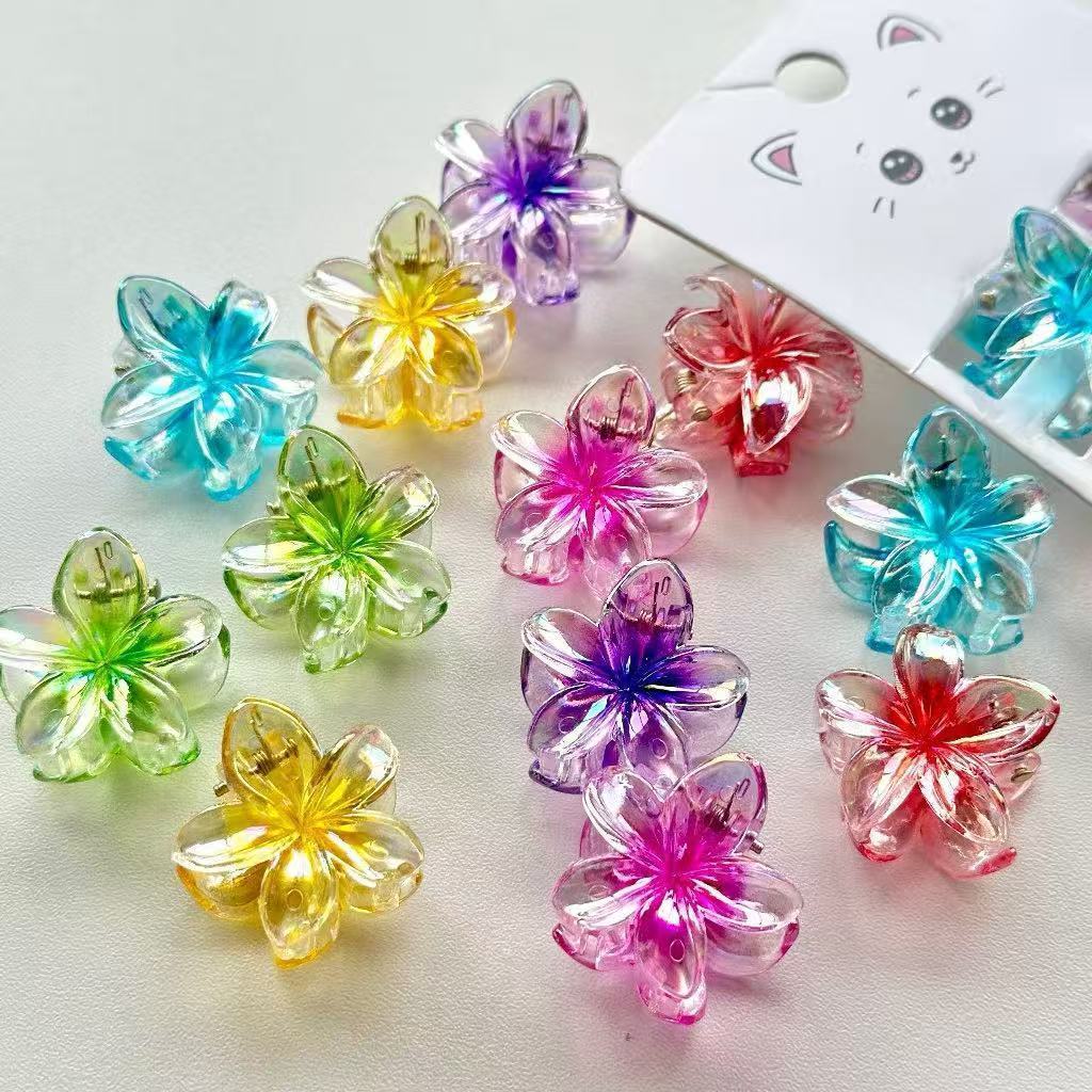 Kit 6 Grampo De Cabelo Frangipani Transparente-Punho De Flor Colorida Para Mulheres , Acessório De Resort De Praia em Oferta na Shopee