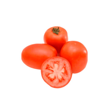 Tomate Italiano Benassi