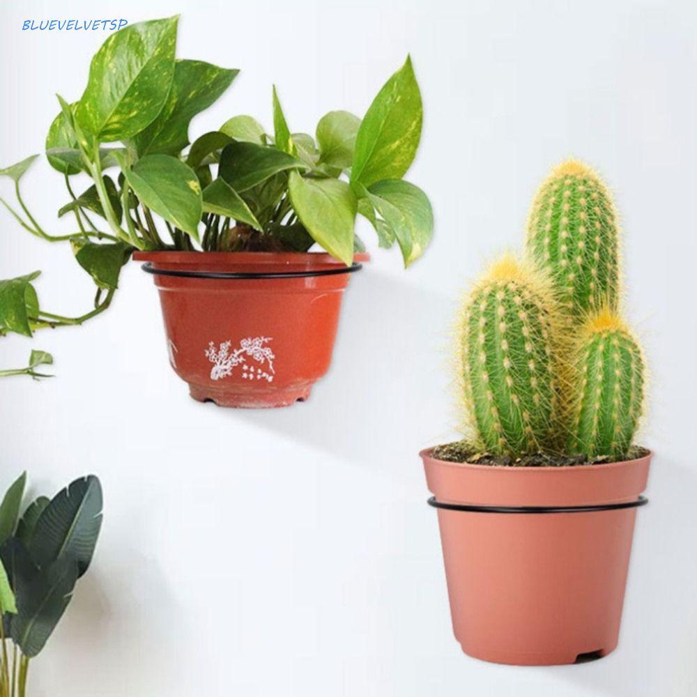 Prateleira De Exibição De Bola BLUEVELVETSP , Rack De Armazenamento De Basquete Preto Multiuso , Montado Na Parede