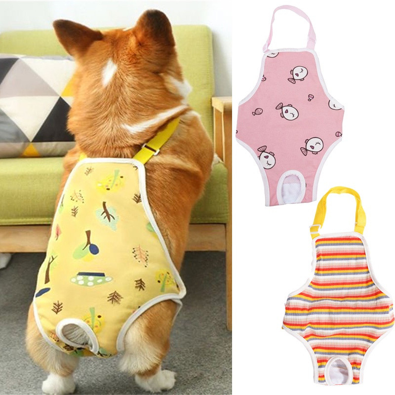 Calças Fisiológicas para Cães com Alças, Roupa Íntima de Segurança para Cães Fêmeas Pequenas e Médias, Shorts para Anima