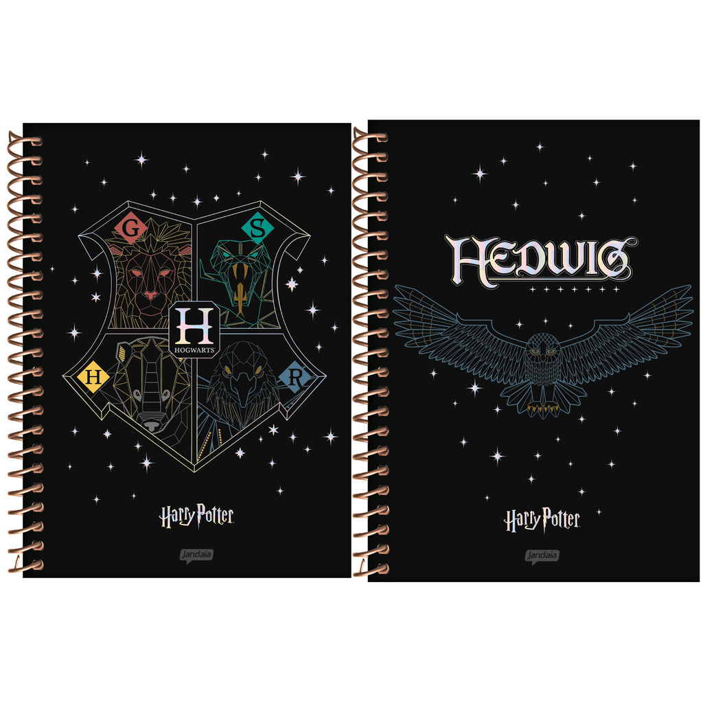 Caderno Universitário 1 Matéria 80 Folhas Harry Potter Premium Jandaia - 4 Unidades Sortidas