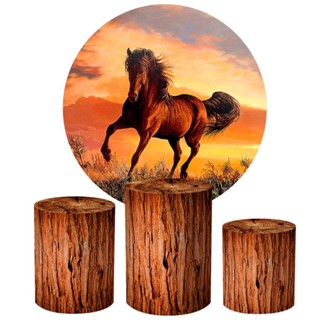 Trio Capas de Cilindros + Painel Veste Fácil Tema Cavalo em Oferta na Shopee