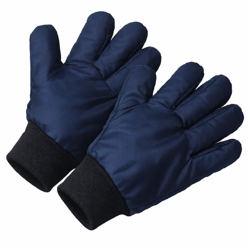 Luva Térmica Para Frigorífico -35°C CA 44751 Nylon Resinado Proteção Frio Câmara Fria EPI Profissional