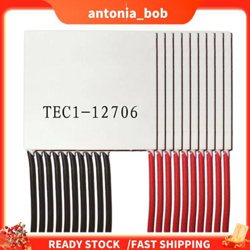 10 Pçs Elementos Peltier TEC1-12706 Módulo Termoelétrico 12706 TEC 12V 4.5A DIY Cooler Eleme Placa Peças De Reposição Ac