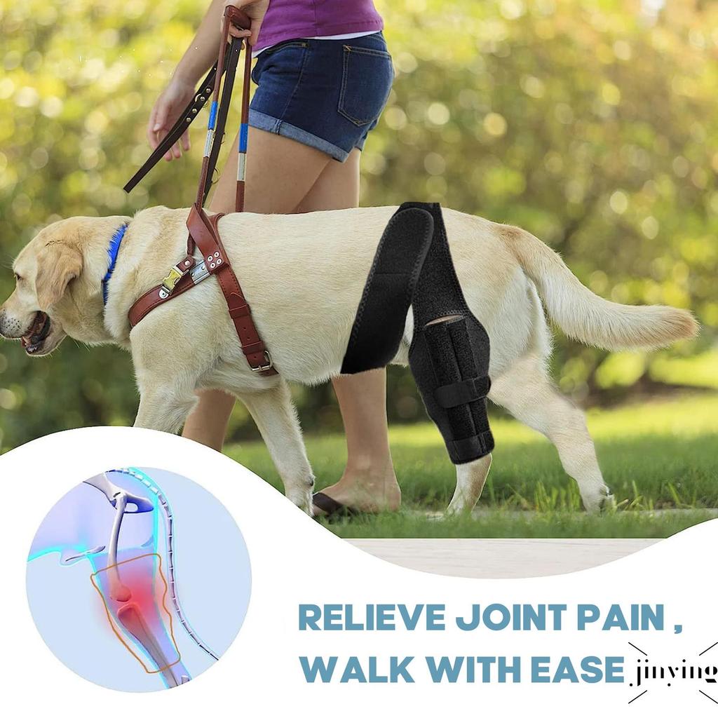 Joelheira Para Cachorro Rasgada Acl Perna Traseira Suporte Forte Cinta De Cães Grandes E Pequenos em Oferta na Shopee