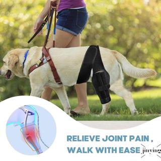 Joelheira Para Cachorro Rasgada Acl Perna Traseira Suporte Forte Cinta De Cães Grandes E Pequenos em Oferta na Shopee