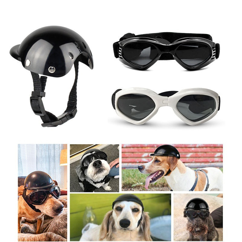 Capacete De Segurança Para Cães De Motocicleta Com Óculos De Sol Cachorro De Moda Frio Estimação S/M