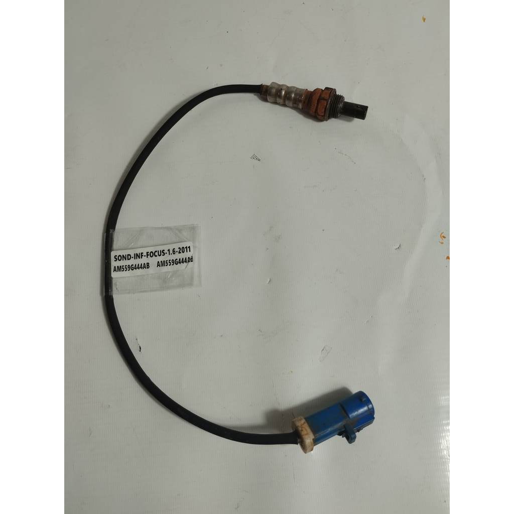 Sonda Lambda Focus 1.6 16v  De 2009 À 2019 - Pré Catalizador  AM559G444AB