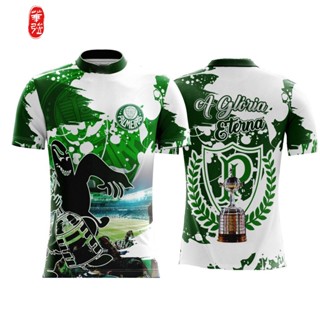 Camisa Estádio do Verdão 17