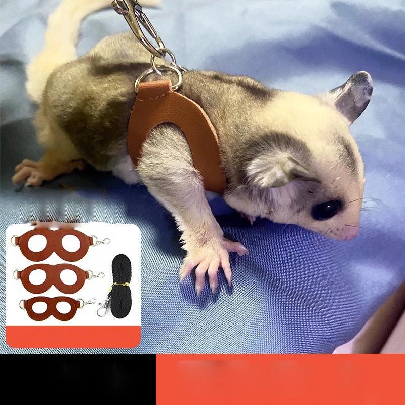 Corda de Treinamento para Petauro-do-Açúcar, Corda de Treinamento para Pequenos Animais, Conjunto de Arnês e Corda para