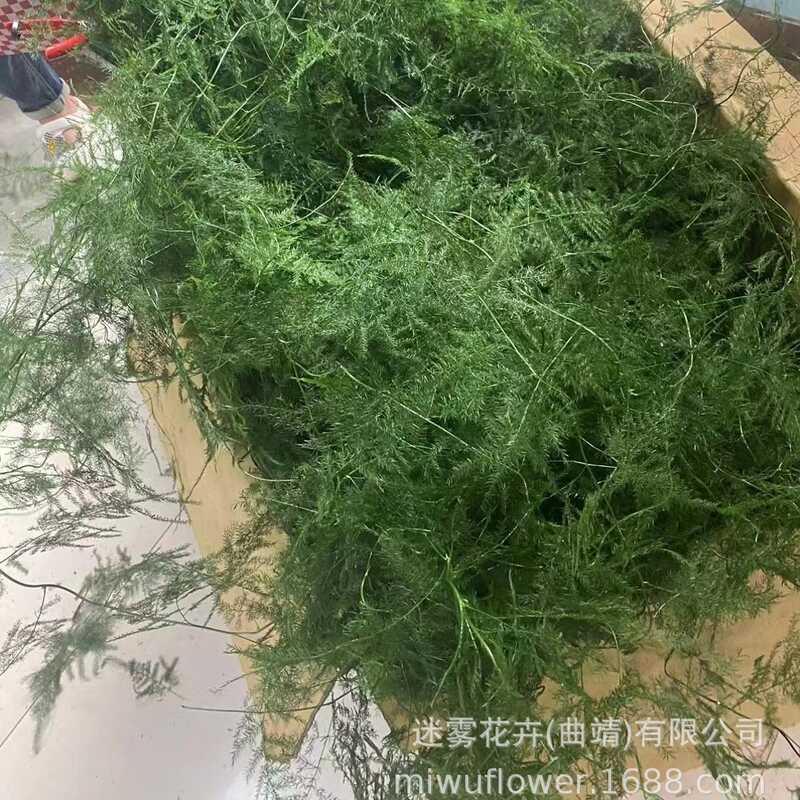 Decoração de casamento flores penduradas flores preservadas arte bambu decoração macia decoração de parede garrafa flutu