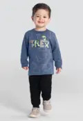Conjunto Moletom Brandili Menino Blusão T-rex