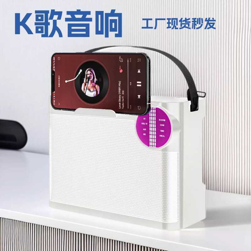 Áudio portátil K-Song All-in-One Bluetooth Pequeno Alto-falante Microfone Duplo Subwoofer Alto-falante Bluetooth