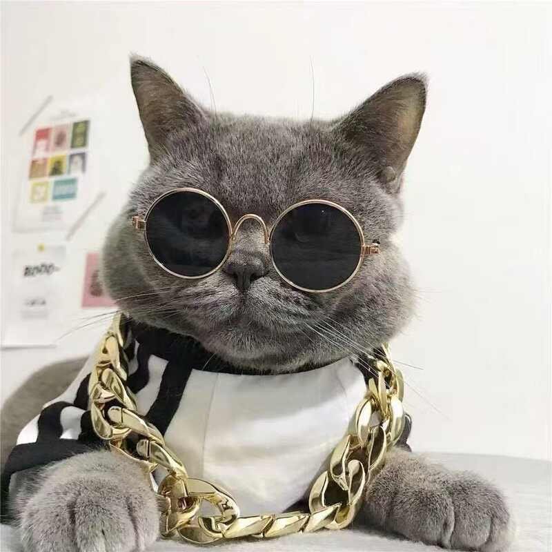 Óculos decorativo redondo para cachorro e gato YJ104 peça leve para criar fotos incríveis