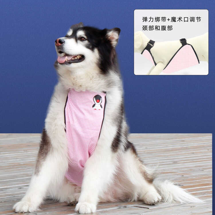 Pet Pet It dos Desenhos Animados Cão Barriga Corgi Golden Retriever À Prova Dwaterproof Água Dias Chuvosos Pet Babador G — R$ 253,00 em Shopee