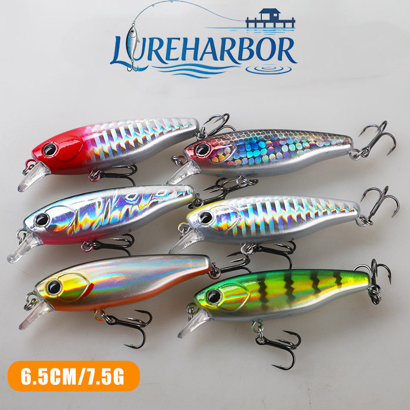 LUREHARBOR minnow lento flutuante longo tiro minnow 6.5cm/7.5g isca falsa isca biônica elevador-boca baixo isca falsa