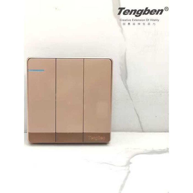 Fujimoto switch soquete tipo 86 ouro rosa painel oculto placa de grandes dimensões três aberto controle único três posiç