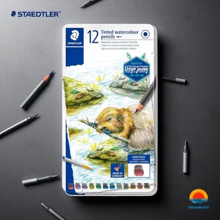 STAEDTLER DesignJourney 14610T M12 Lapis Grafite Colorido Aquarela 12pc/Lata Metal/Alemanha