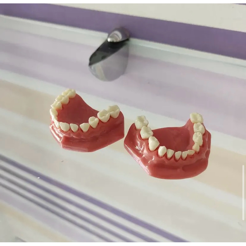 Mini Macromodelo para Odontopediatria Superior e Inferior