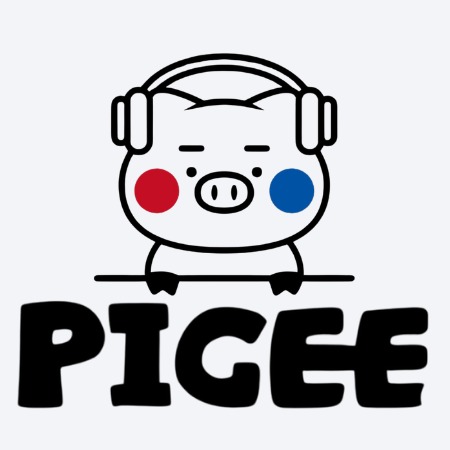 PiGEE.BR