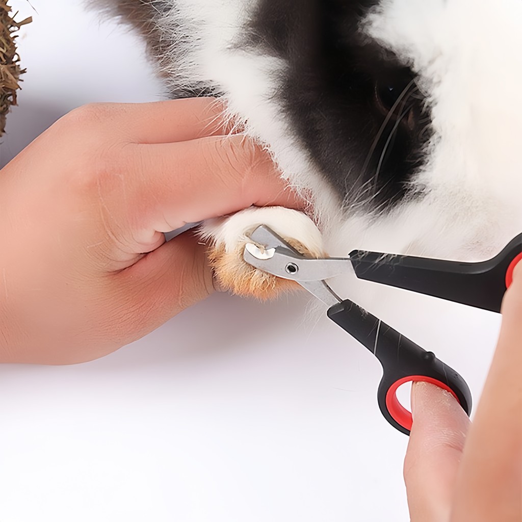Tesoura Profissional Para Unhas De Animais De Estimação , Portátil , Aço Inoxidável , Promoção De Tesouras Tosa De Cães