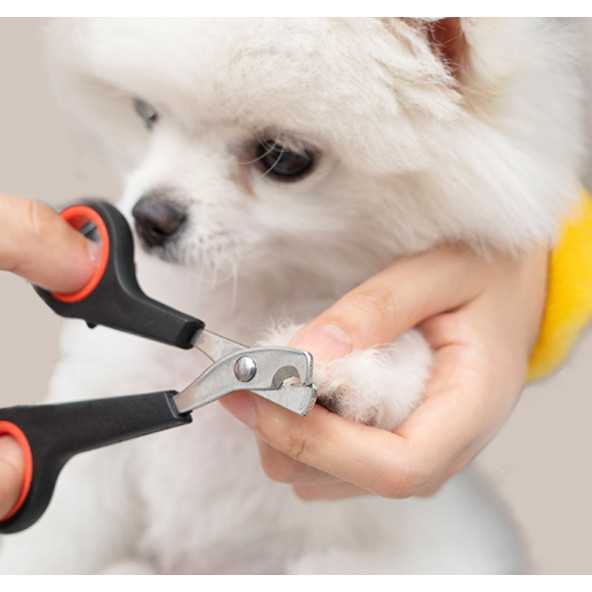 Tesoura De Unhas Para Animais De Estimação De 5 Peças , Tamanho , Preta Com Design Ergonômico Ideal