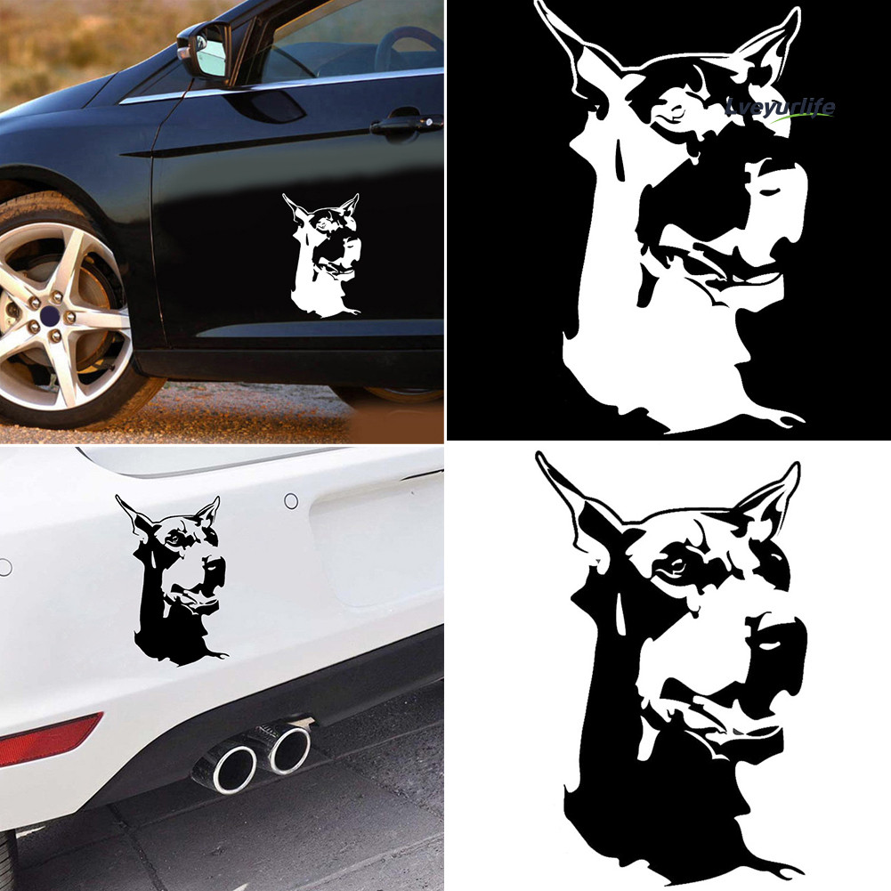 Lveyurlife Doberman Dog Animal Car Styling Adesivos Veículo Motocicleta Corpo Decalques Decoração