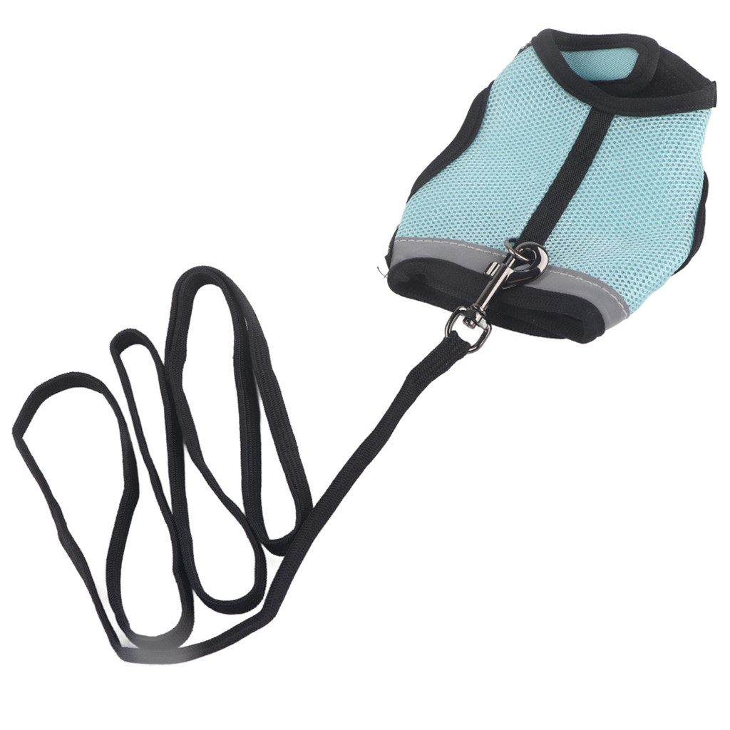 Conjunto De Arnês Para Coelho Hamster , Colete De Segurança Animais De Estimação Pequenos Com Trela De Chumbo (Azul Clar