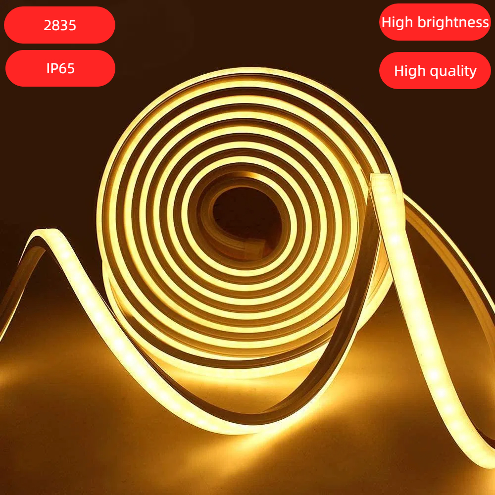 Luzes De Tira LED À Prova D'água Flexível 12v Tubo De Silicone Ip65 3m Decoração De Natal Neon Stripled Strip Light 5m 2