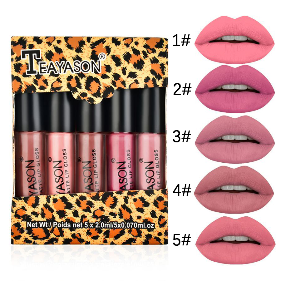 Caixa de Cobertura de Gloss Labial Fosca Delicada, À Prova D'Água, de Longa Duração e Não ...