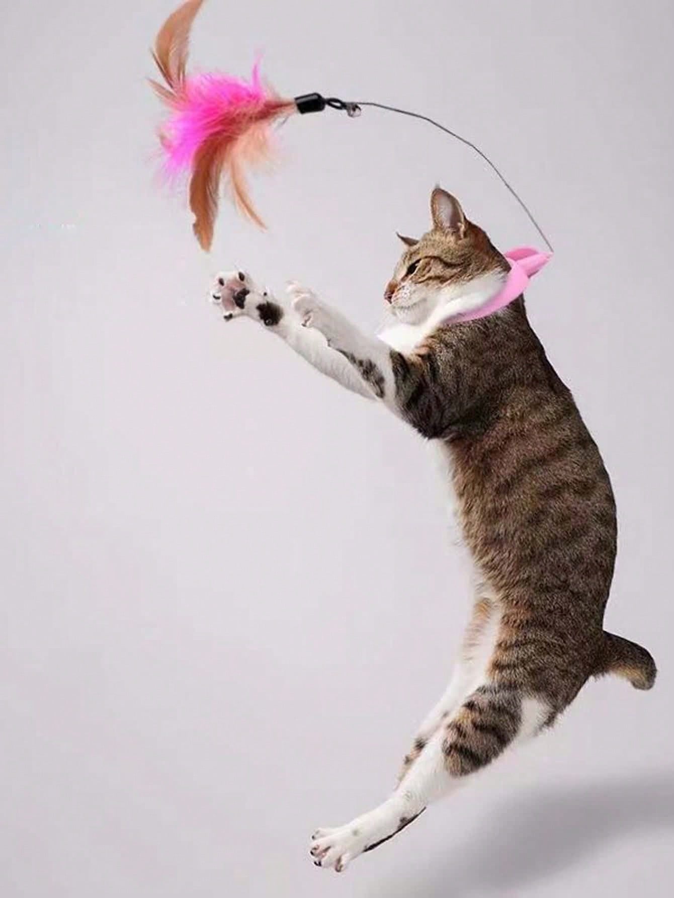 Gato provocando vara provocando brinquedo do gato auto-cura gato aliviar o tédio ferramenta útil coleira de gato automát