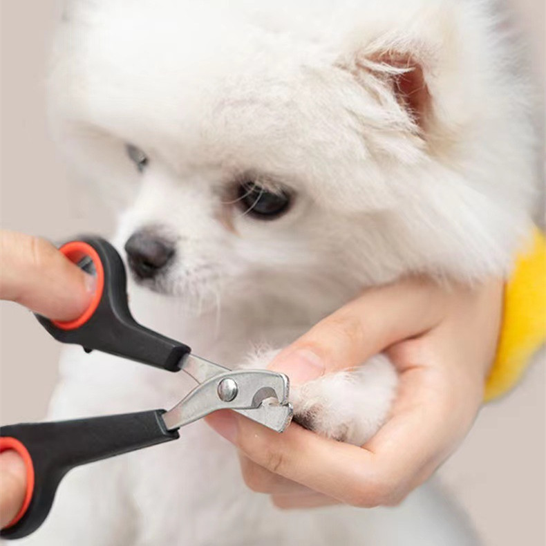 Tesouras para pets Tesouras de unha para gatos e cães Tesoura para pets Cortador de unhas para pets Cortador de unhas