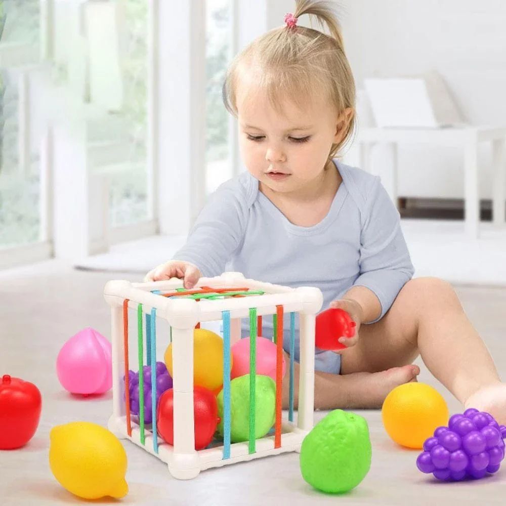 Brinquedos Montessori Sensoriais para Bebês 6-9 Meses com Frutas Coloridas e Habilidade Motoras