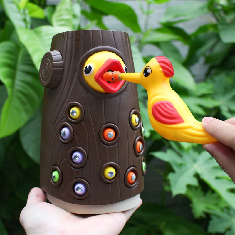 Brinquedo Magnético Pica-Pau de Madeira com Minhocas para Bebê e Aniversário