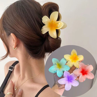 Grampo De Cabelo De Flor Transparente Coreano , Clipe De Garra Frangipani Para Mulheres , ...