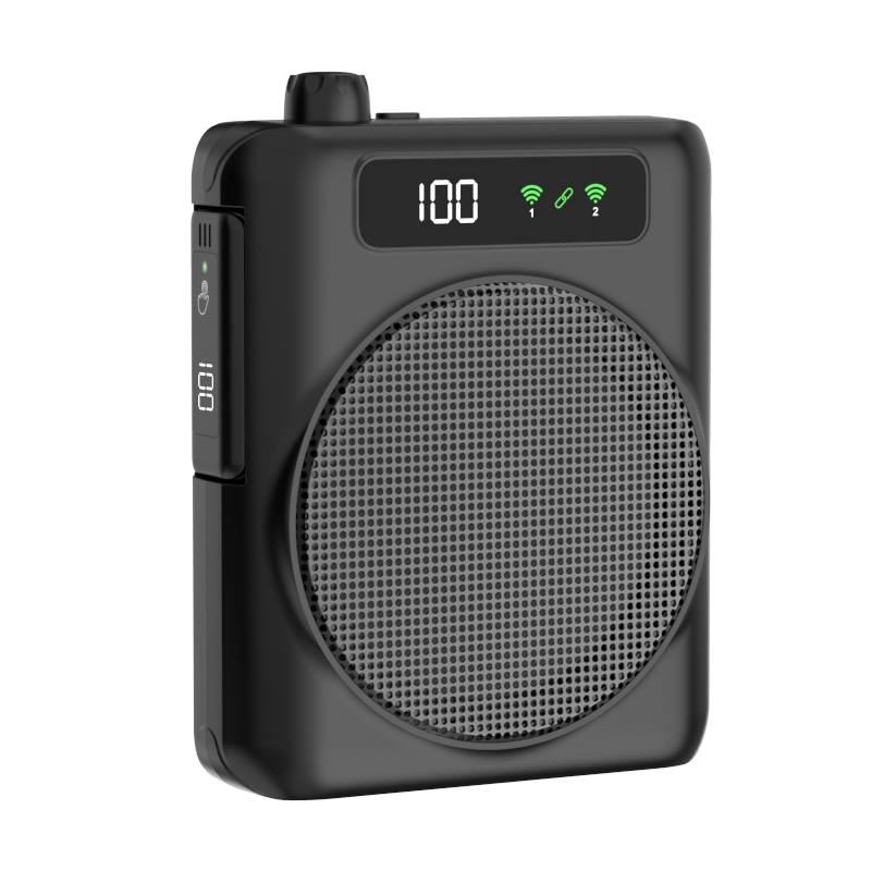 R12 PRO Microfone Lapela Amplificador Wireless, Caixa de Som Bluetooth Anti-Interferência para Professores, Guias