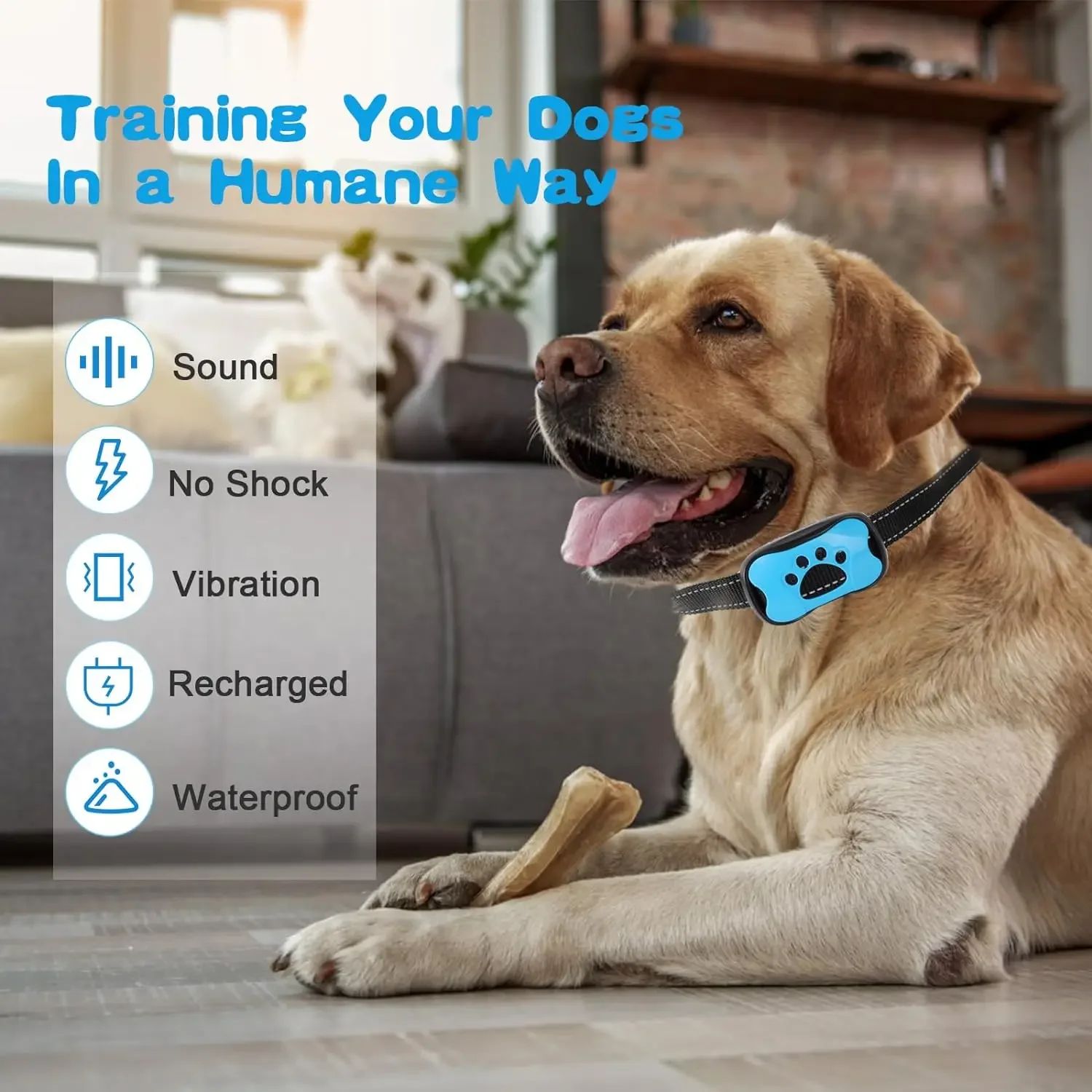 Coleira de Treinamento Ultrassônica para Cães - Dispositivo de Controle de Latidos Recarregável USB para Animais de