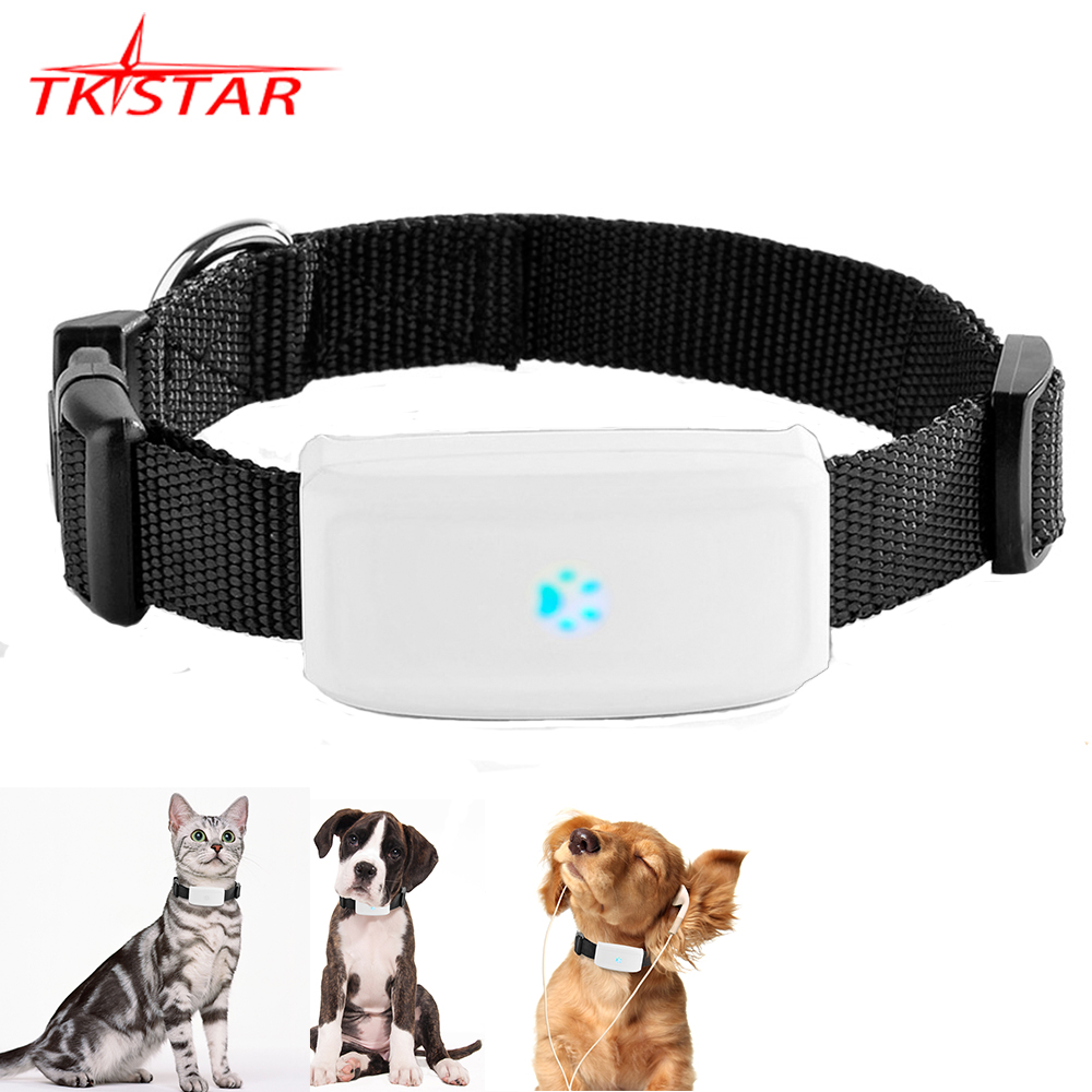 Rastreador GPS para cães e gatos, localizador em tempo real 2G, coleira ajustável, reprodução de rotas, cerca