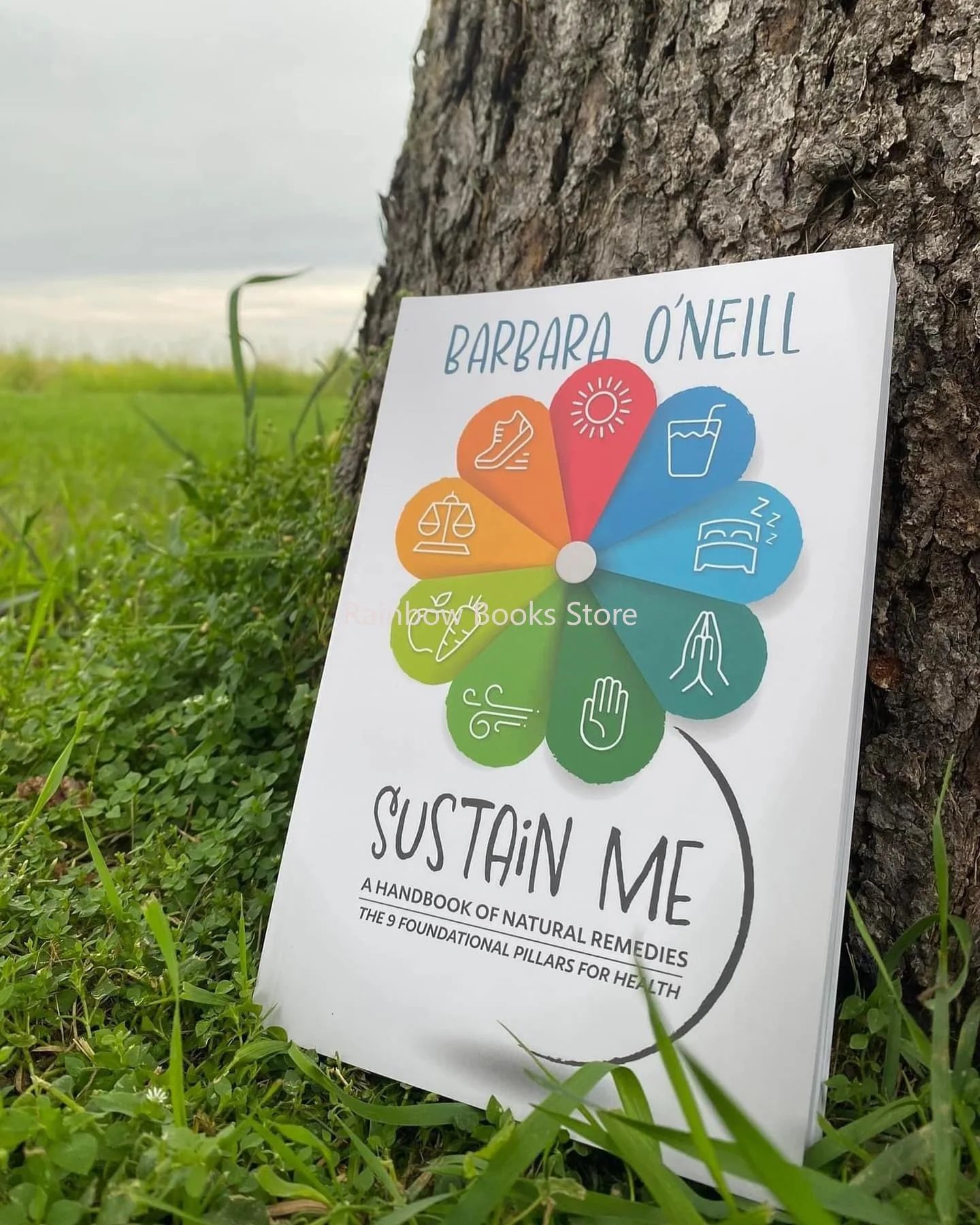 Susta-Me , De Barbara O , Nemill , Livro Holístico , Manual De Saúde , Remédios Naturais , Viagem Emocional , Livros Fís