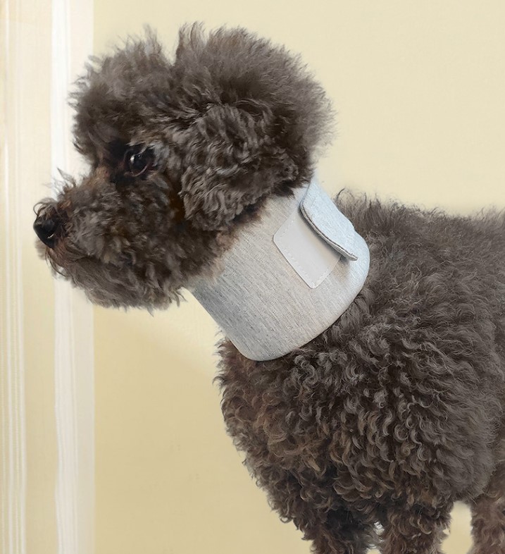 PetGuard Ajustável Cão Pescoço Guarda Anti Lamber Mordida Coleira Protetora Recuperação Pós-Cirurgia Acessórios Para Ani