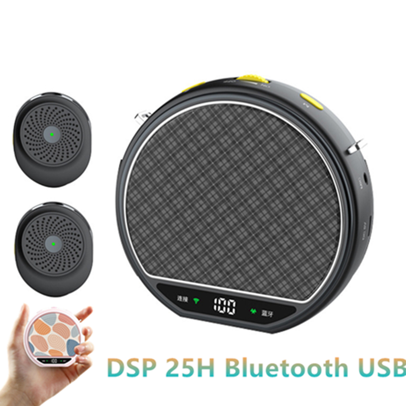 M28 Amplificador de Voz Sem Fio Sistema de Microfone Duplo de Lapela Magnético para Professores e Guias Turísticos