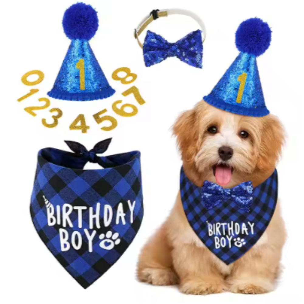 Conjunto De Festa De Aniversário De Cachorro 4 Peças Xadrez Bandana Chapéu Gravata Borboleta Número Colar Para Cachorrin