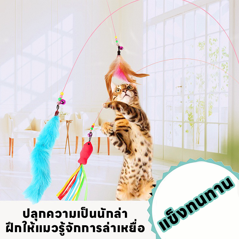 yoyopet : Cat Teaser ไม้ล่อแมว แบบสปริง ของเล่น ที่ตกแมว ลวดสลิง - ภาพที่ 4