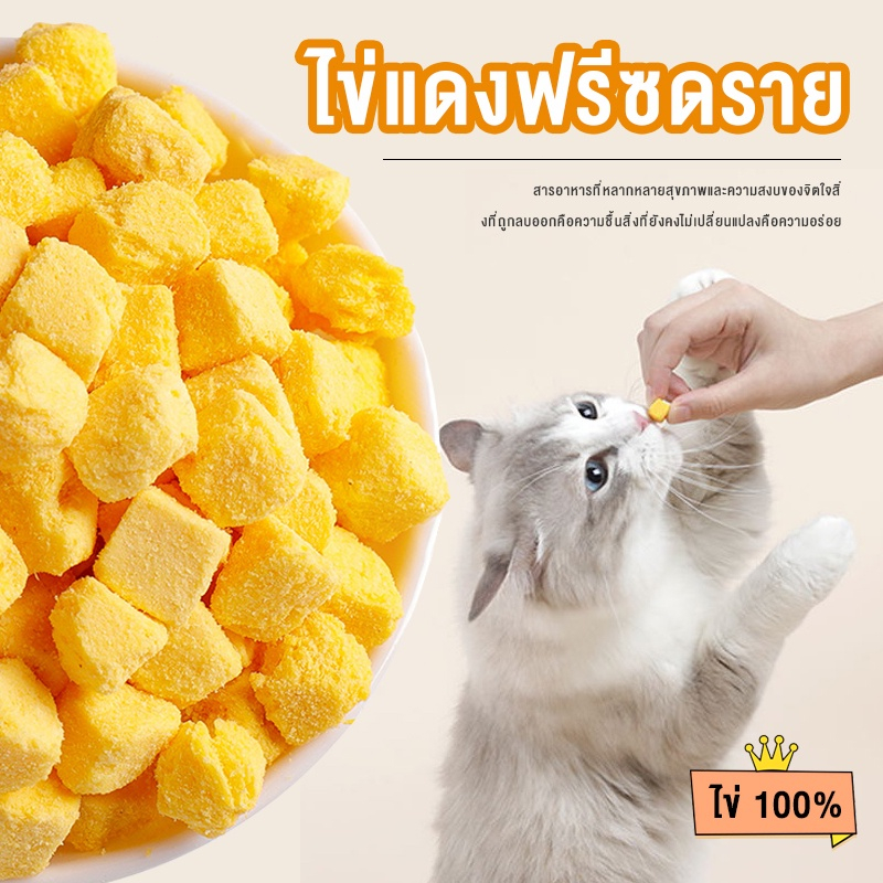 อกไก่ฟรีซดราย ขนมแมว อกไก่แมว ขนมแมวฟรีซดราย อกไก่ ขนมโปรตีน ฟรีซดราย 100% ขนมโปรตีน ไก่ฟรีซดราย Freeze Dried แมว - ภาพที่ 5