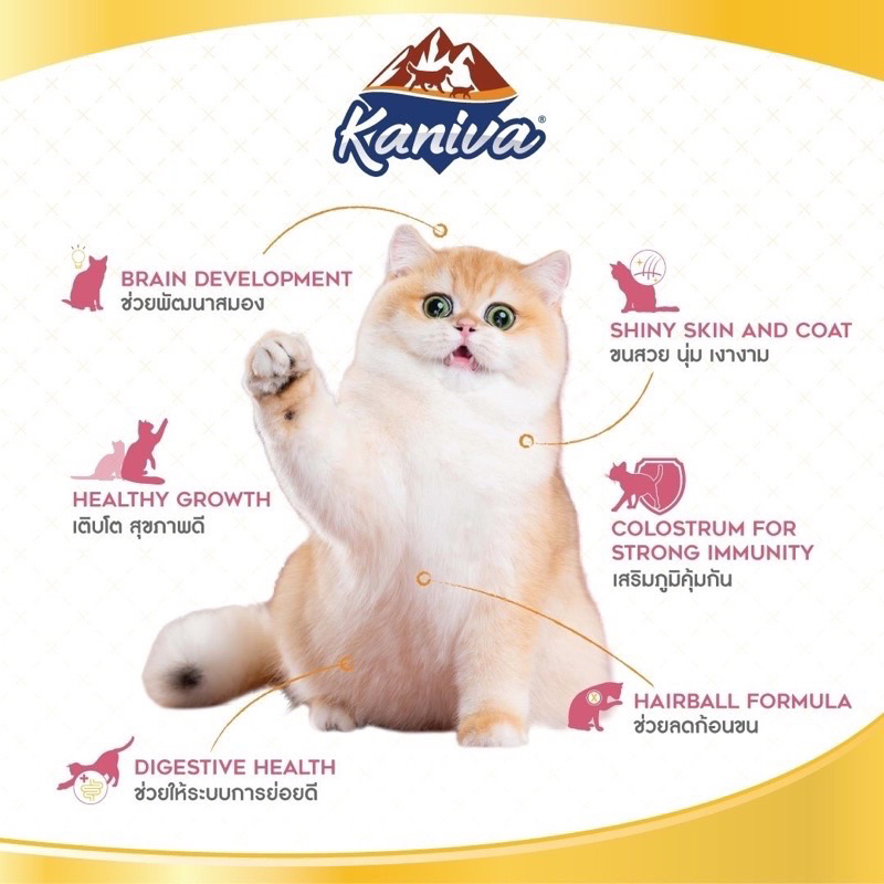 Kaniva คานิว่า อาหารแมว 1 - 1.5 kg สำหรับแมวทุกช่วงวัย - ภาพที่ 4