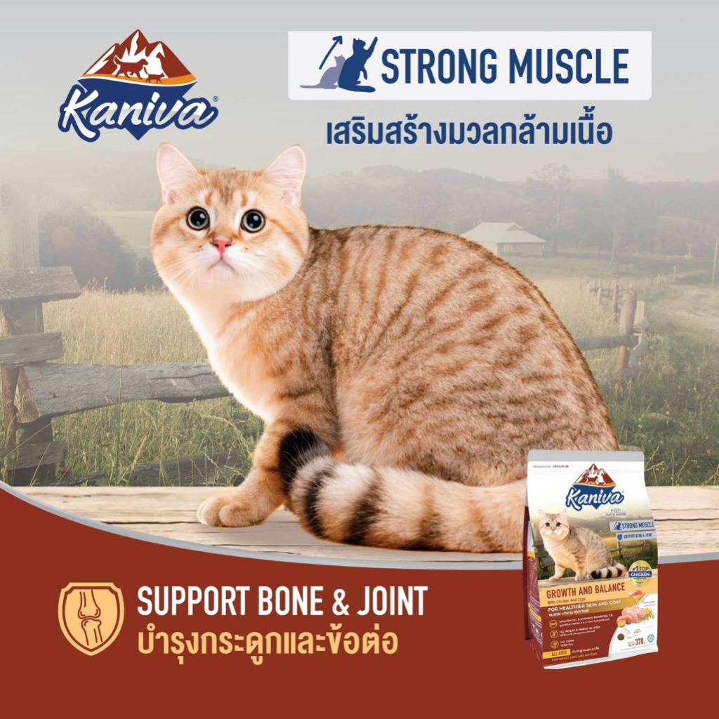 Kaniva คานิวาขนาด 1.2-1.5 กิโลกรัม อาหารแมวเกรด Premium Gluten-free Grain-free ปลอดภัยไม่เค็ม - ภาพที่ 5