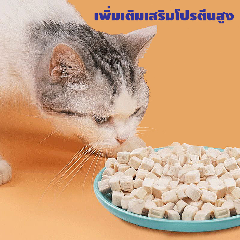 อกไก่ฟรีซดราย ขนมแมว อกไก่แมว ขนมแมวฟรีซดราย อกไก่ ขนมโปรตีน ฟรีซดราย 100% ขนมโปรตีน ไก่ฟรีซดราย Freeze Dried แมว - ภาพที่ 4