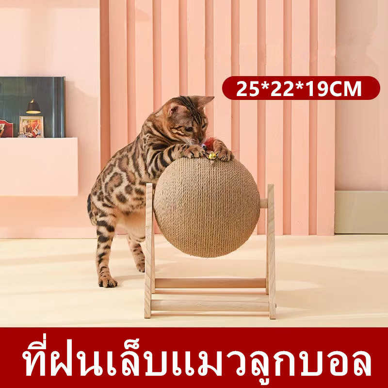 ที่ลับเล็บแมว ของเล่นแมว ฝนเล็บแมว ที่ฝนเล็บแมวลูกบอล ที่ฝนเล็บแมวใหญ่ ที่ฝนเล็บแมวขนาดใหญ่ บ้านแมว ที่ฝนเล็บแมว - ภาพที่ 6