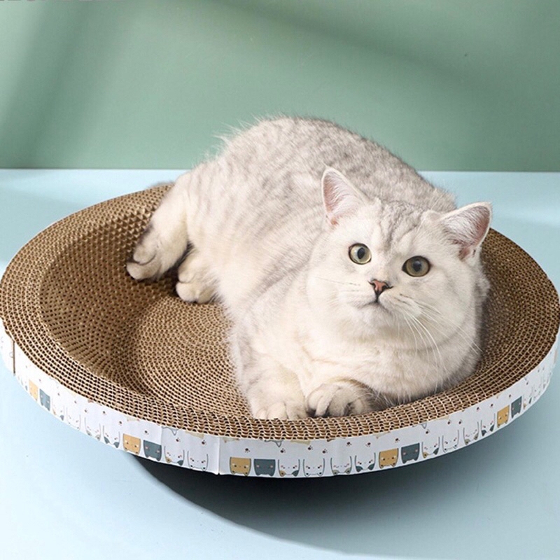 🐾ที่ลับเล็บแมว รูปอ่าง ที่ฝนเล็บแมว ของเล่นแมว เป็นที่นอนแมวไปในตัว ฟรี แคปนิท ที่ขูดเล็บ ของเล่นแมว คอนโดแมว - ภาพที่ 3