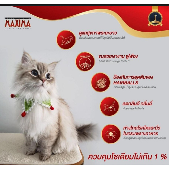 Maxima อาหารเม็ดแมว แม็กซีม่า (เซ็ท 4 กิโล / 4 ถุง)  สำหรับแมวโตทุกสายพันธุ์ - ภาพที่ 3
